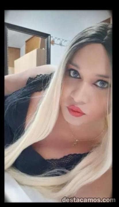 transexuales aviles|Escorts TRANS Travestis Avilés Asturias Ts Shemales Bonecas